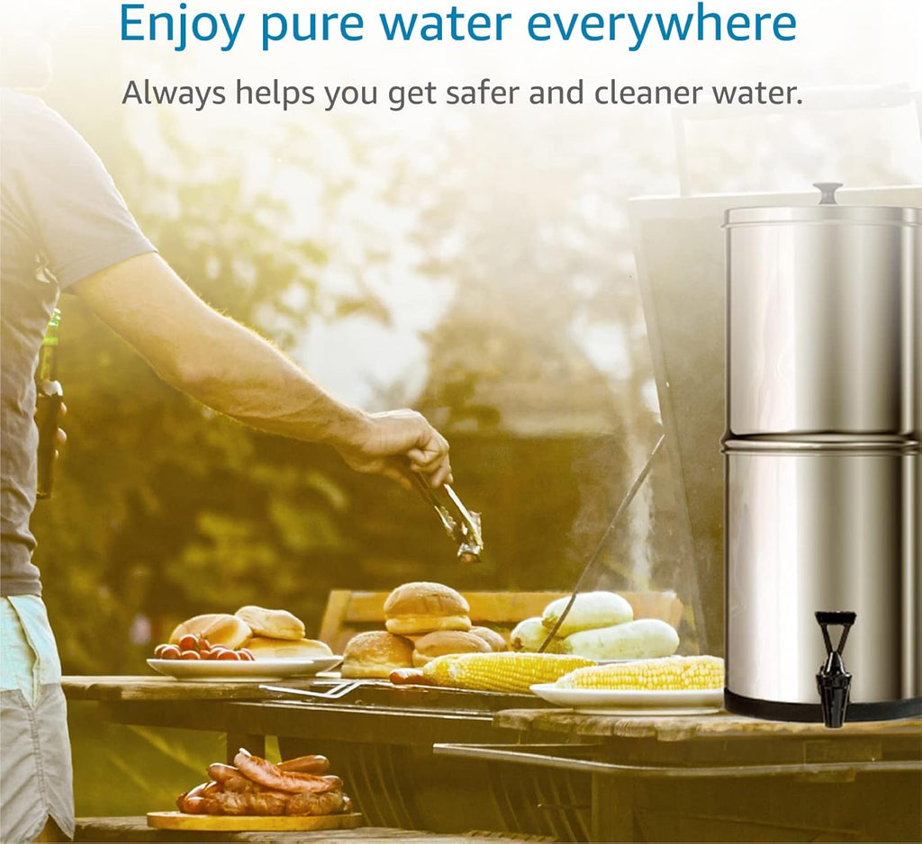 Black Purification Water Filter, Pack of 2 C23344