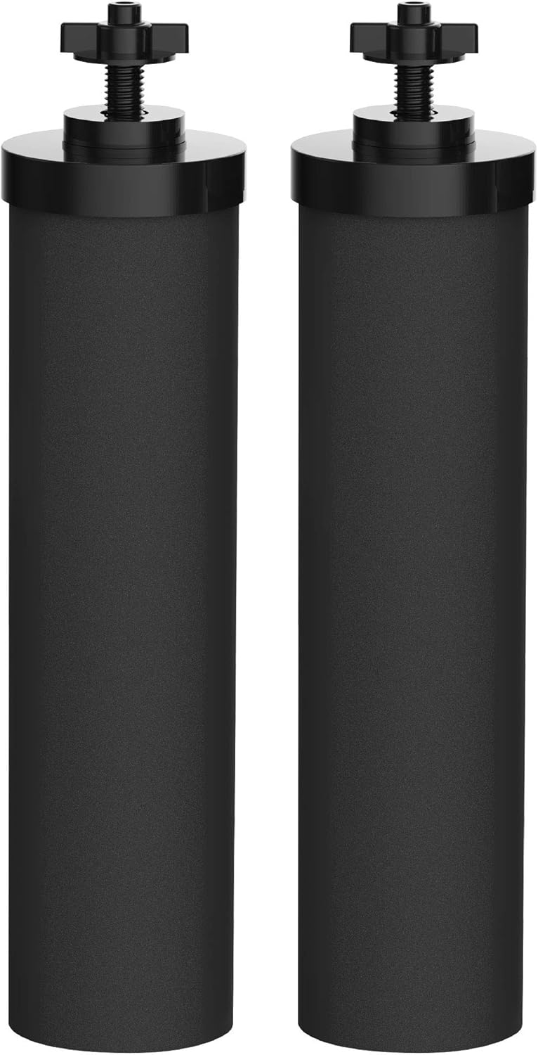 Black Purification Water Filter, Pack of 2 C23344