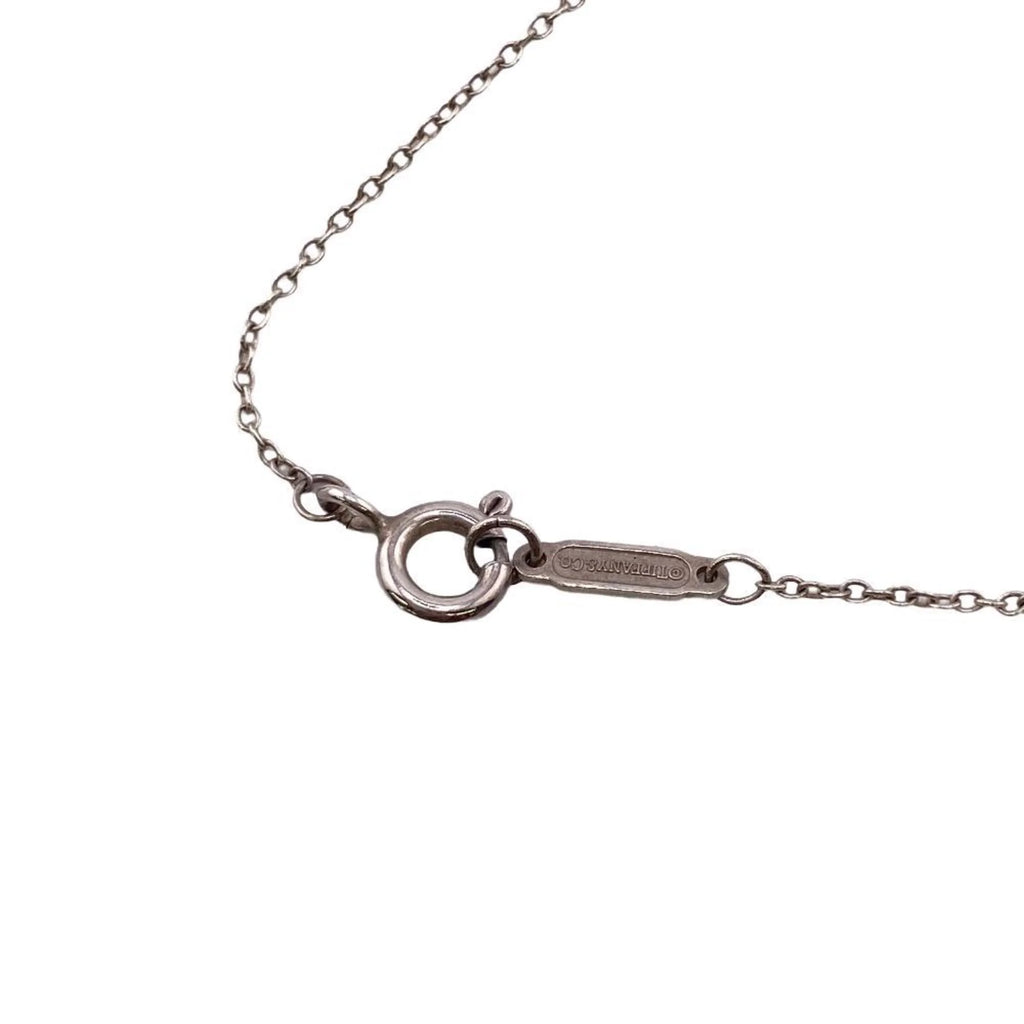 Horseshoe Necklace Silver U9993
