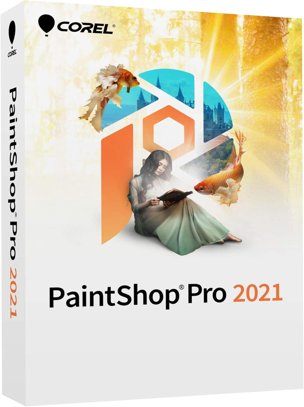 Photo Editing & Graphic Design Software [PC Disc] Pack of 2 G397