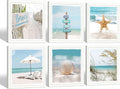 13''x13'' Framed Beach Shell Wall Art P7438