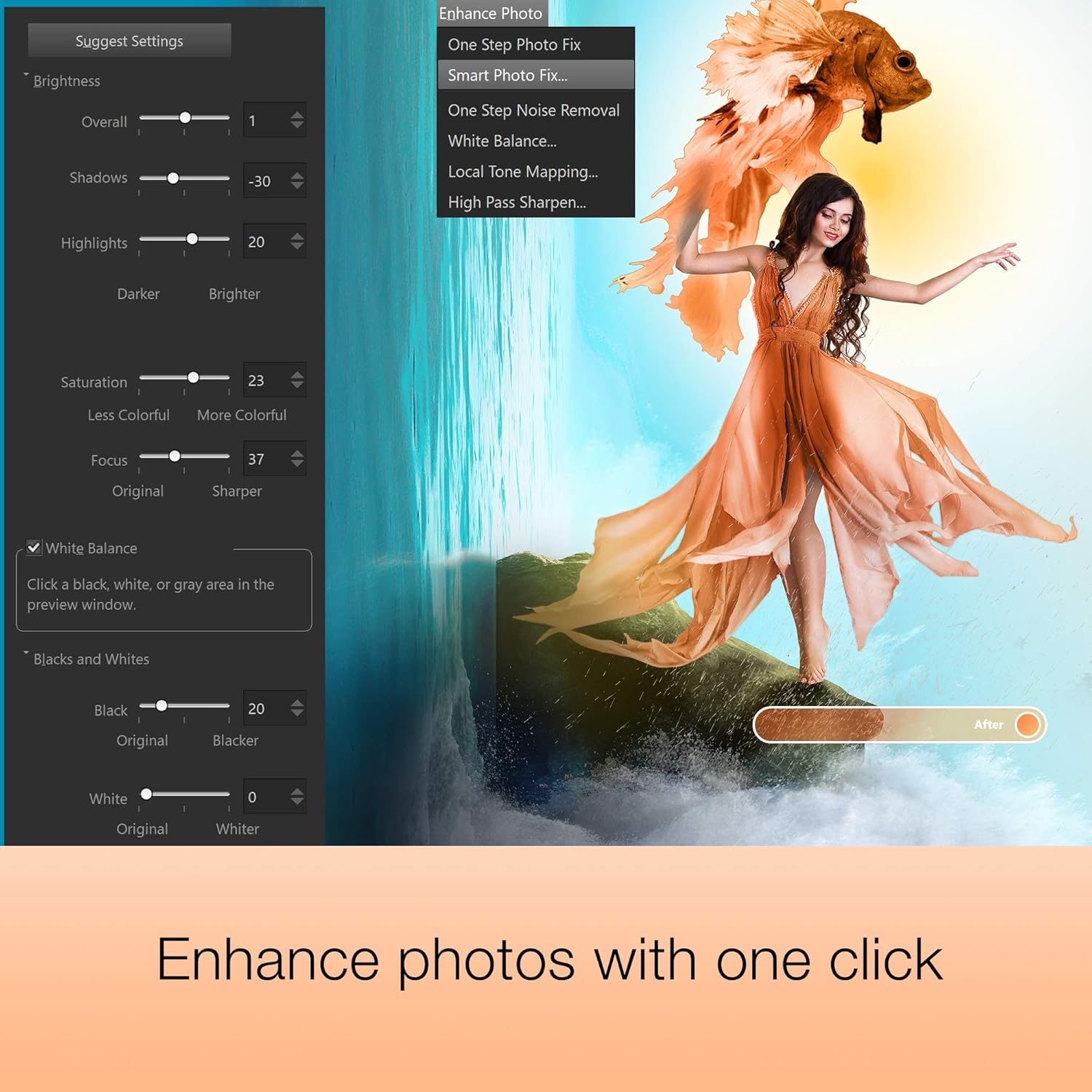 Photo Editing & Graphic Design Software [PC Disc] Pack of 2 G397