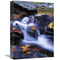 Autumn Leaves in Little River - Great Smoky Mountains NP Tennessee Art Print J281164