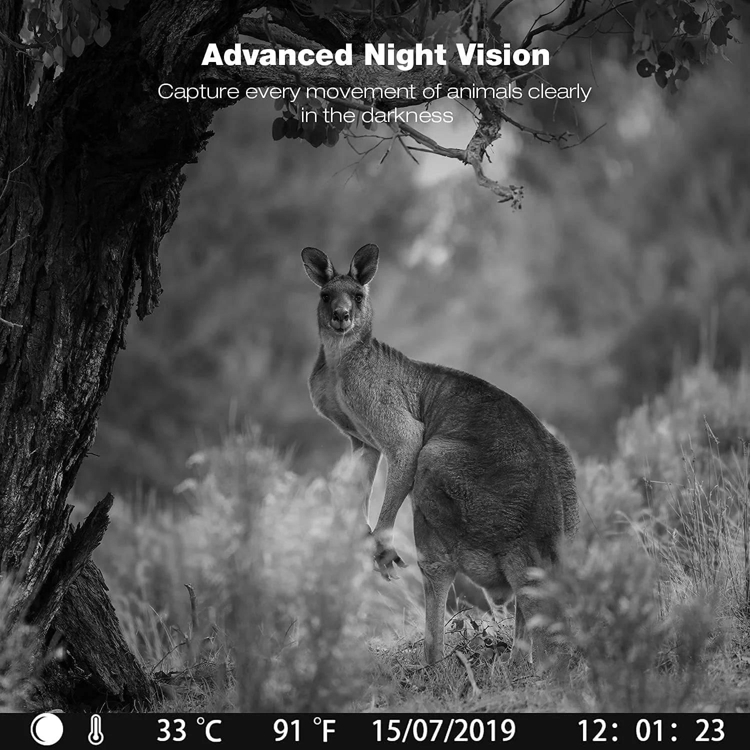 2 Pack 36MP 2K Waterproof Trail Camera with Infrared Night Vision K9182