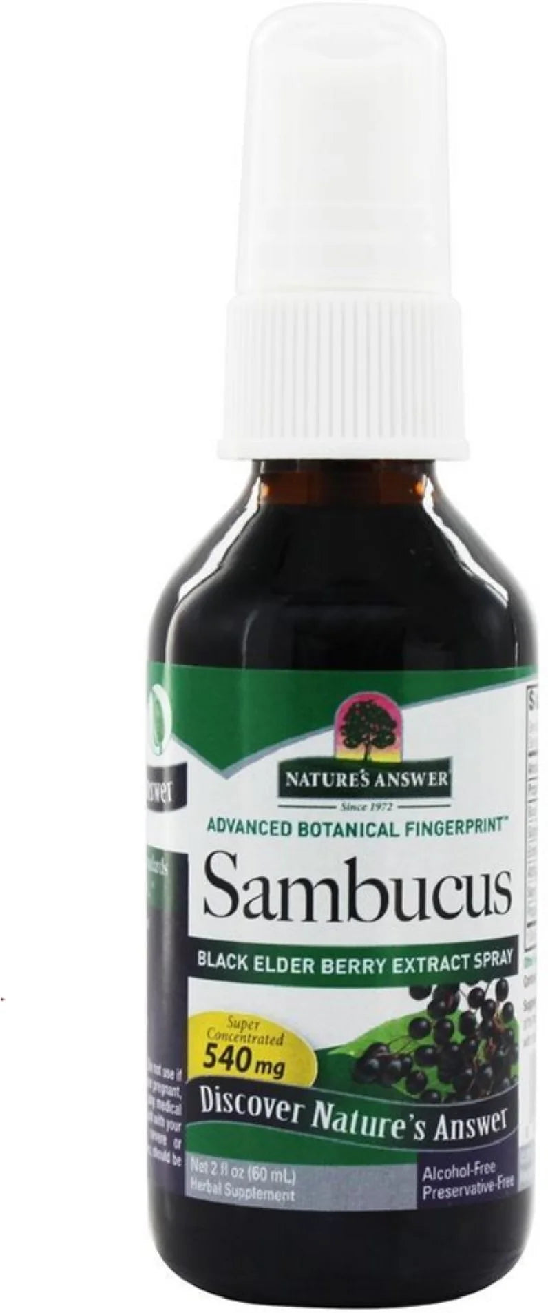 4 Pack Black Elder Berry Extract Spray 2 oz Z9808