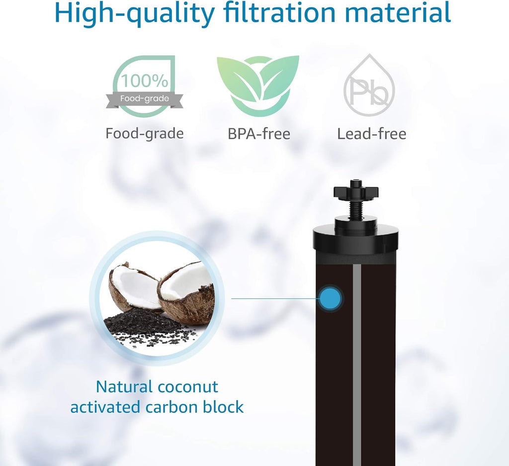 Black Purification Water Filter, Pack of 2 C23344