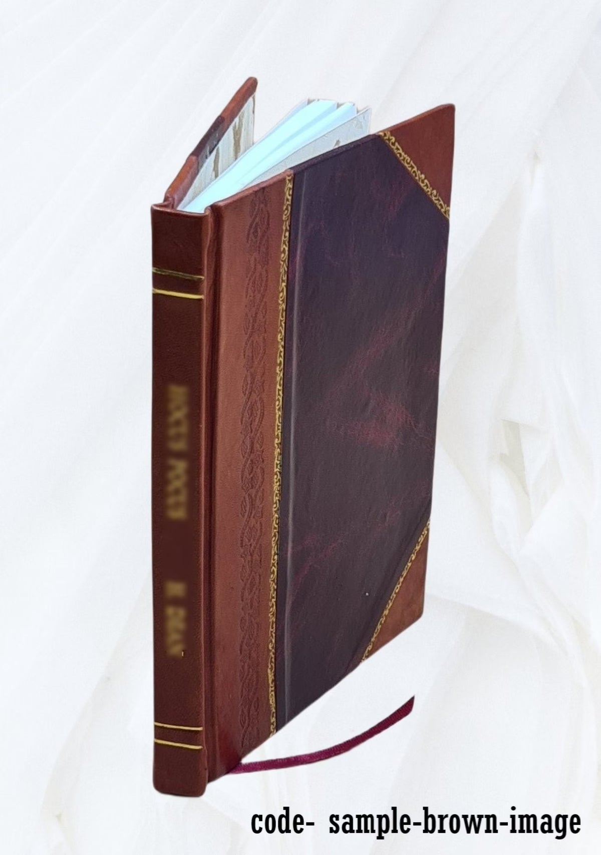 Leather Bound Report Volume 4 1902 A52475