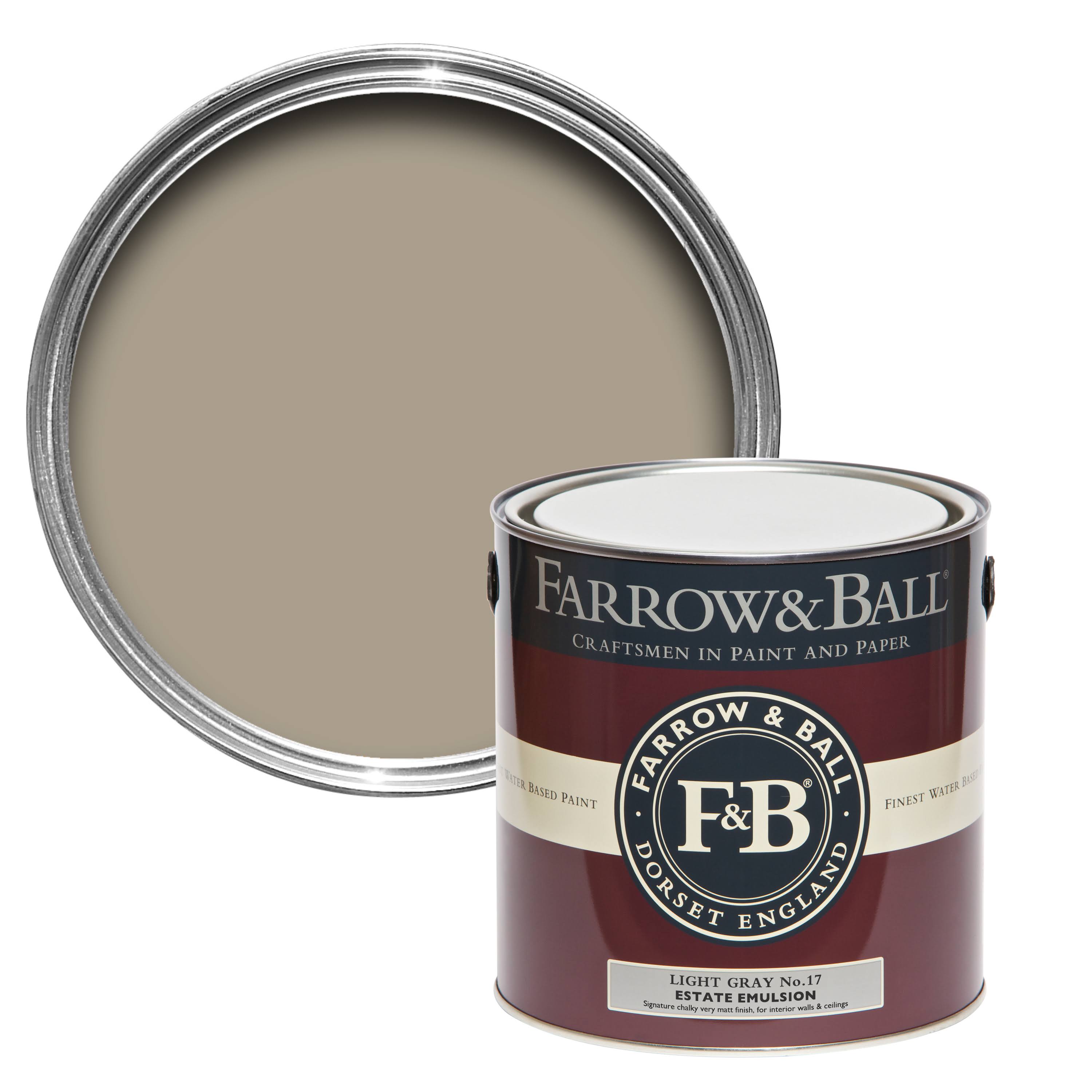 Light Gray Dead Flat Paint I972