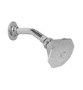 Olive Bronze Topaz Showerhead with Shower Arm Z926