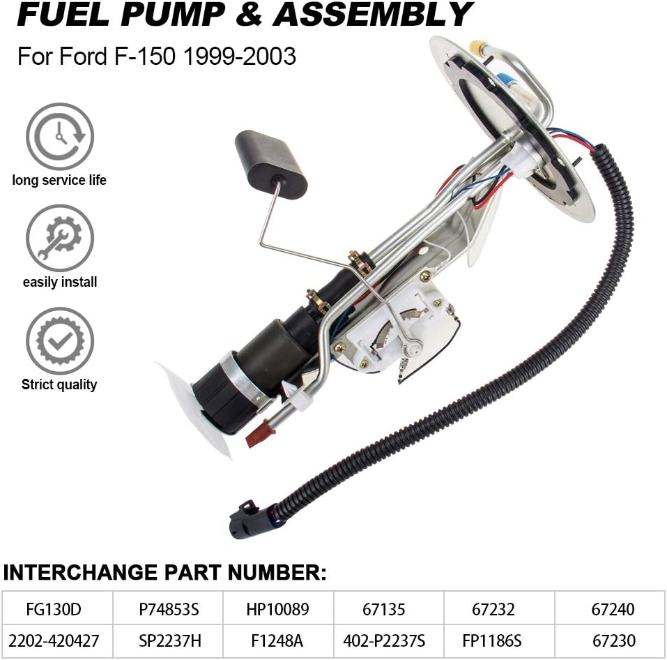 Fuel Pump Assembly Pack of 2 E29871