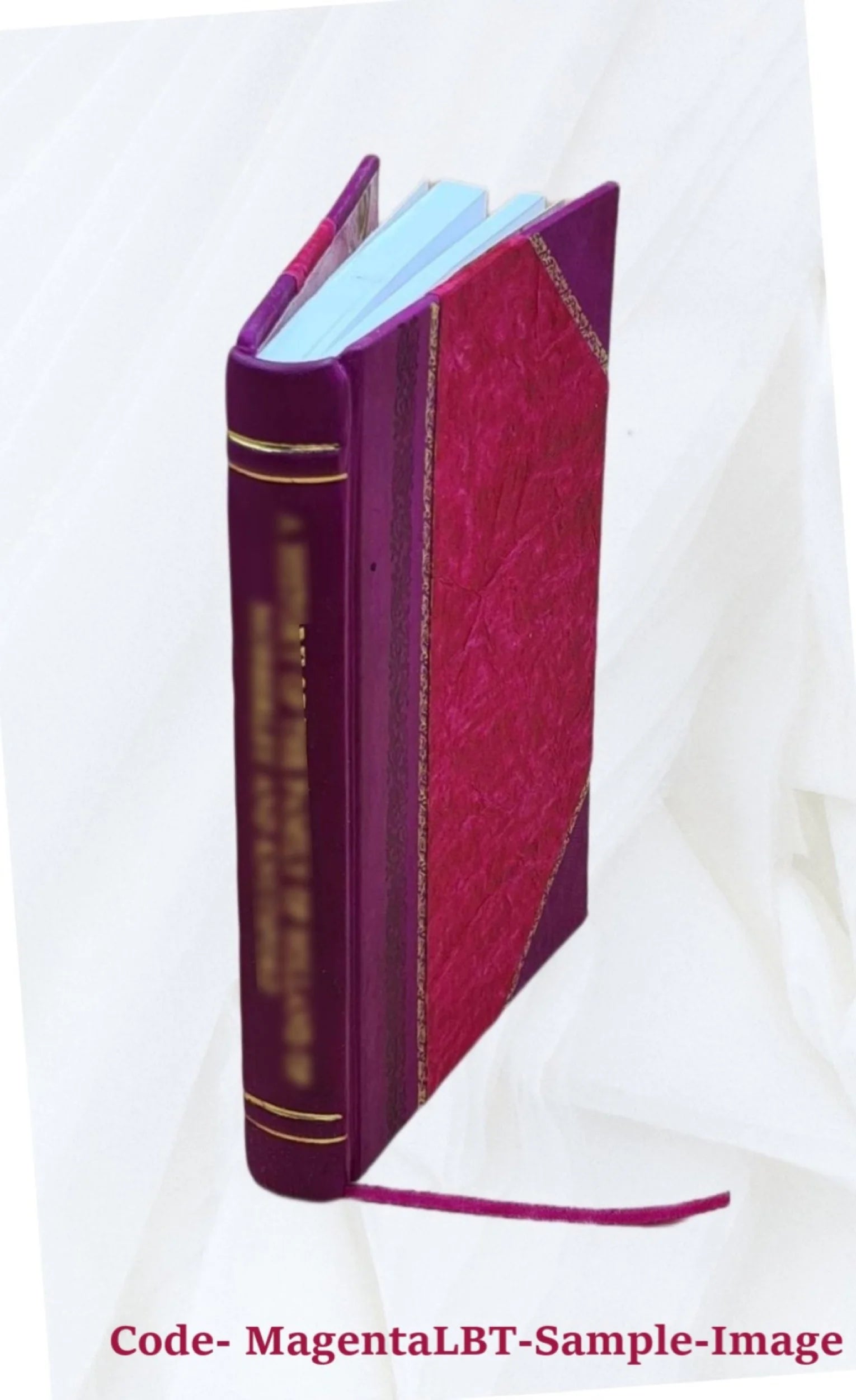 Virgil and Ronsard by Walter Henry Storer 1923 Leather Bound R68850