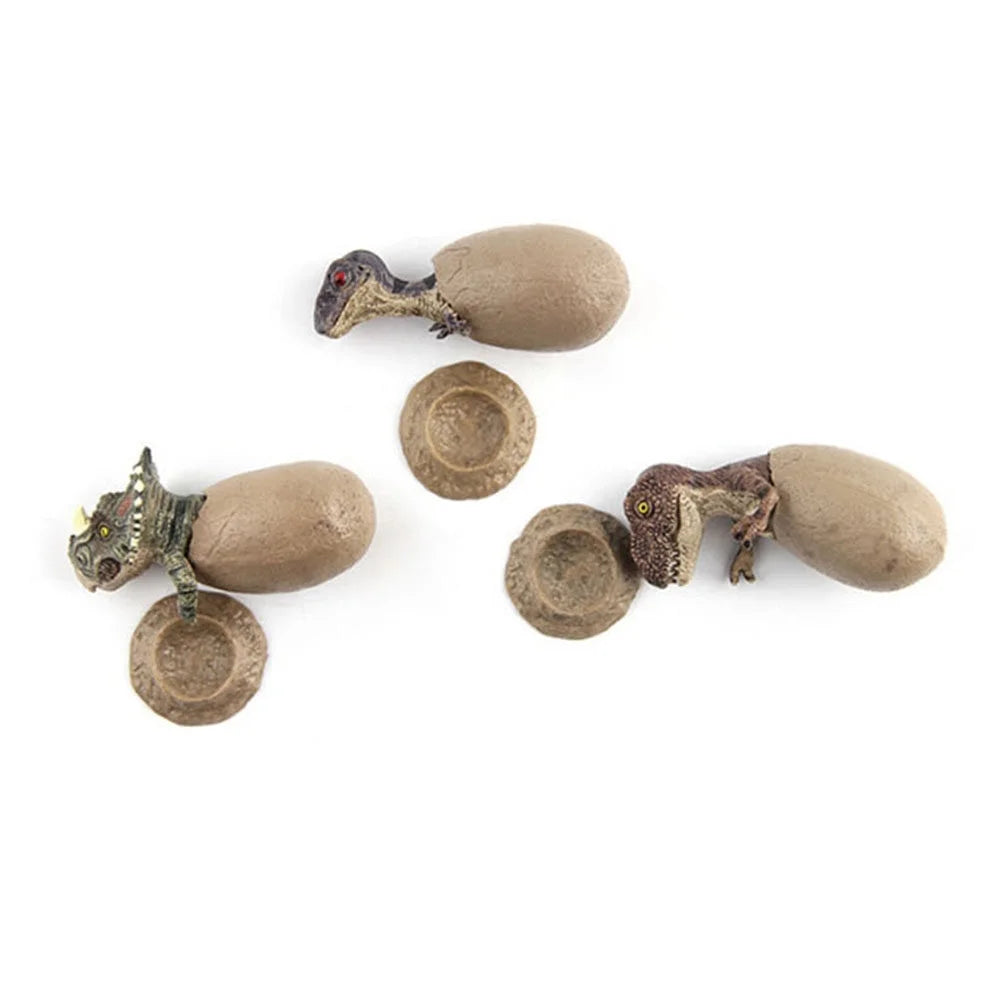 Egg Hatching Eggs Model Toy S8226