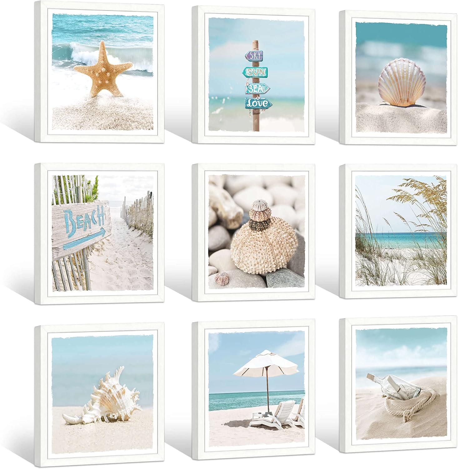 13''x13'' Framed Beach Shell Wall Art P7438