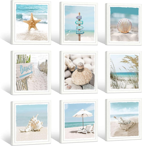13''x13'' Framed Beach Shell Wall Art P7438
