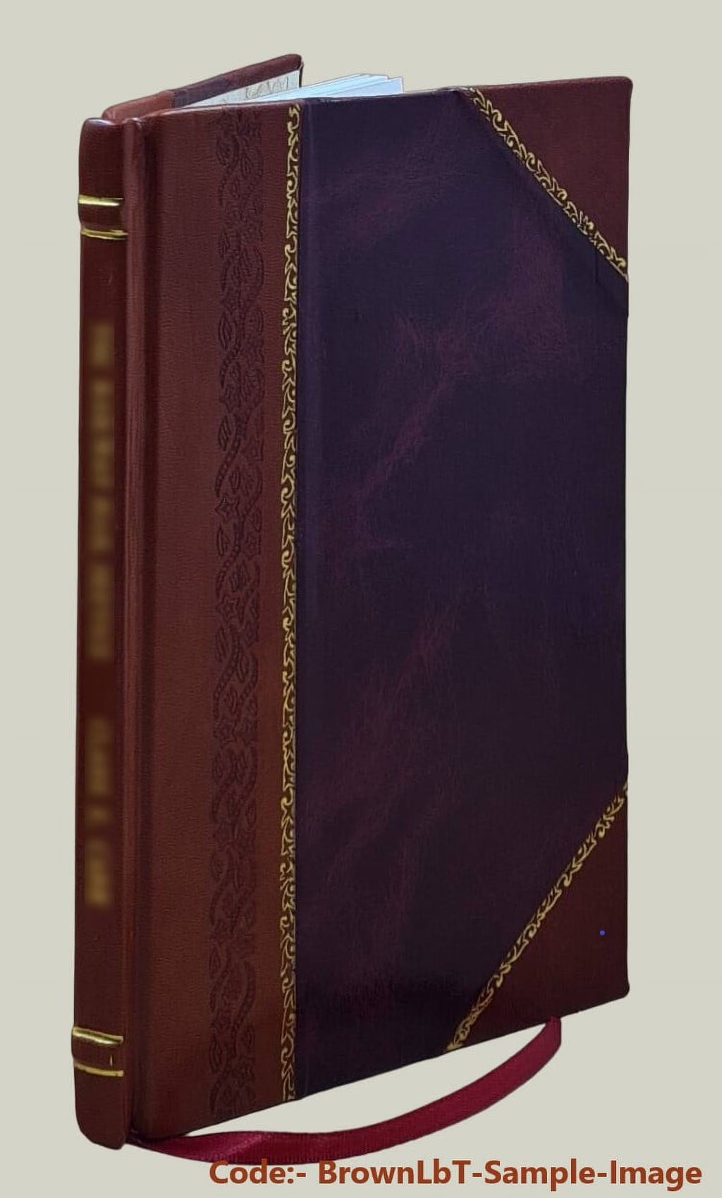 Virgil and Ronsard by Walter Henry Storer 1923 Leather Bound R68850