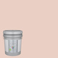 Interior Paint (5-Gallon) J96999