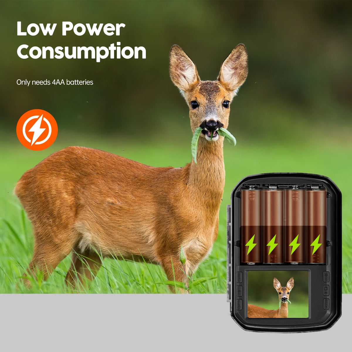 2 Pack 36MP 2K Waterproof Trail Camera with Infrared Night Vision K9182