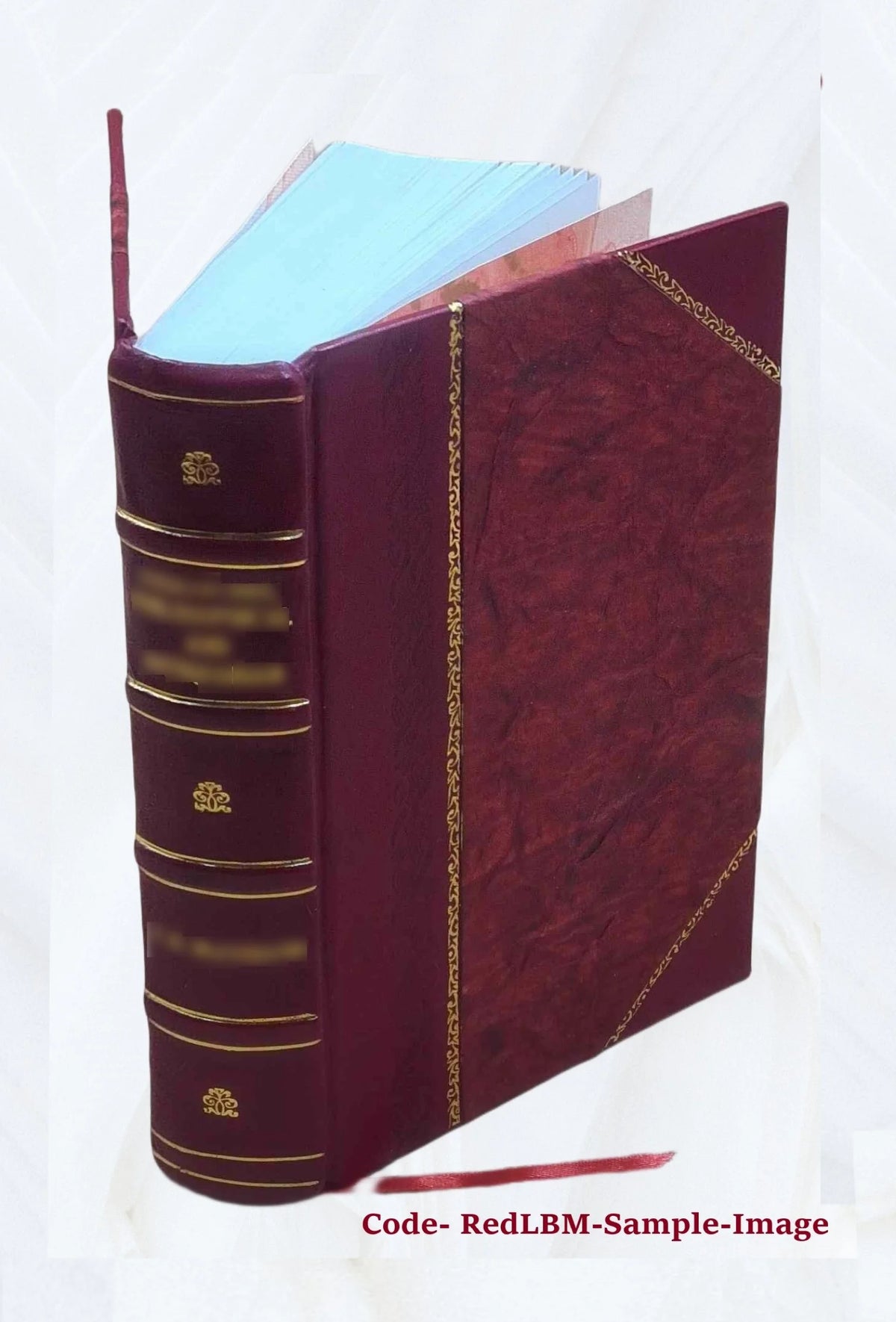 Leather Bound Book S934