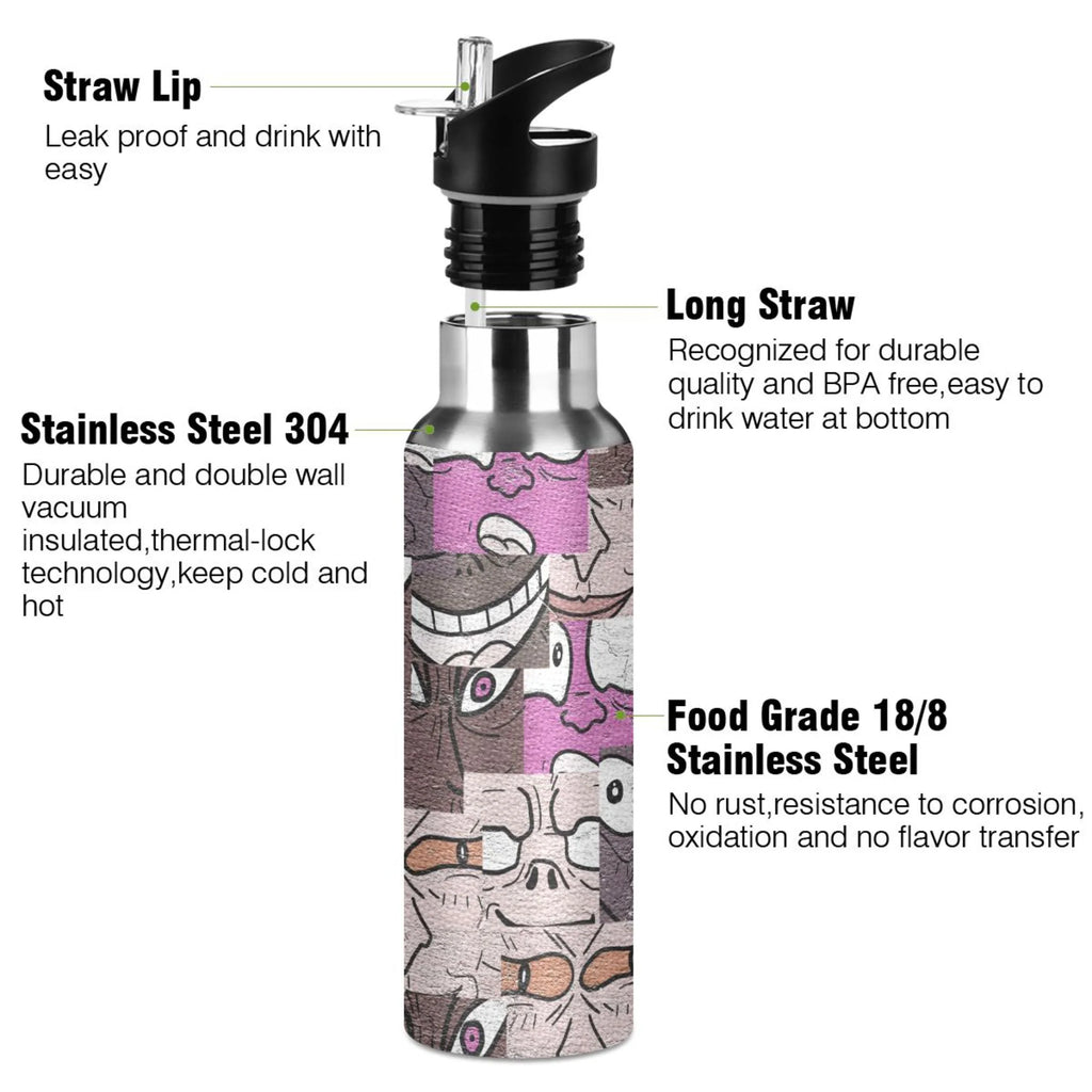 Stainless Steel Insulated Water Bottle with Straw Lid C48842