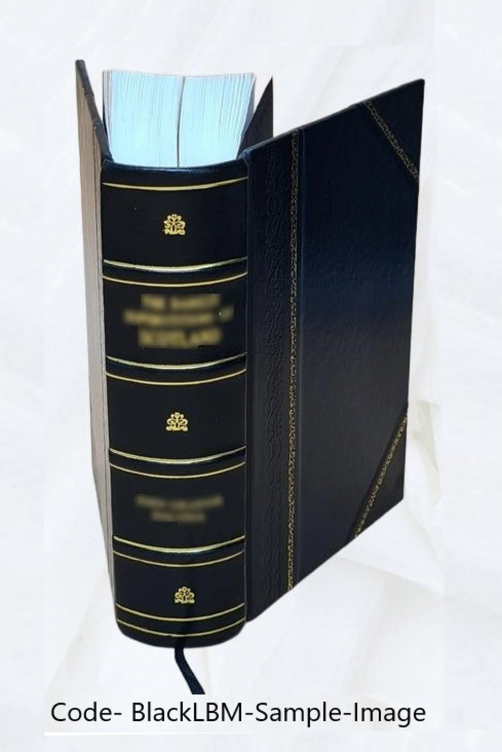 Leather Bound Book S934