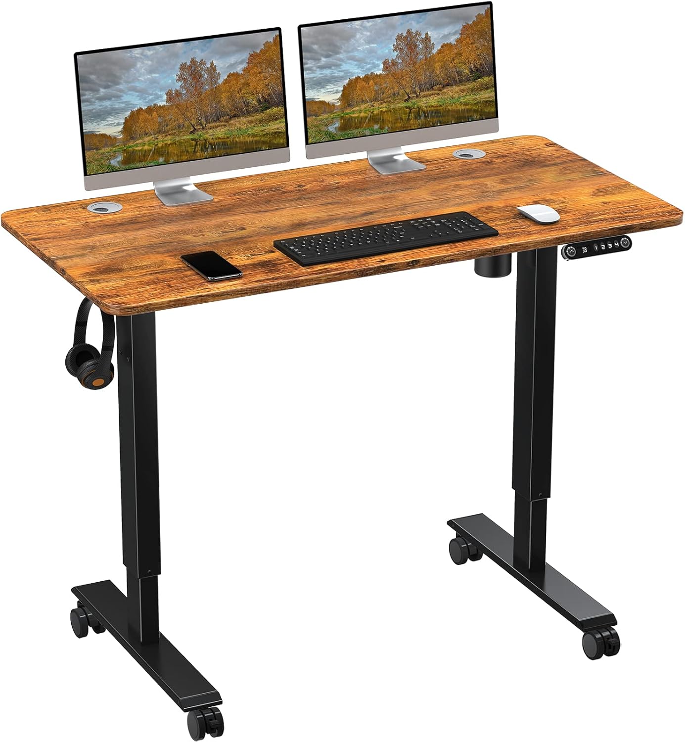 Oak Electric Standing Desk 48 x 24 Inch E934