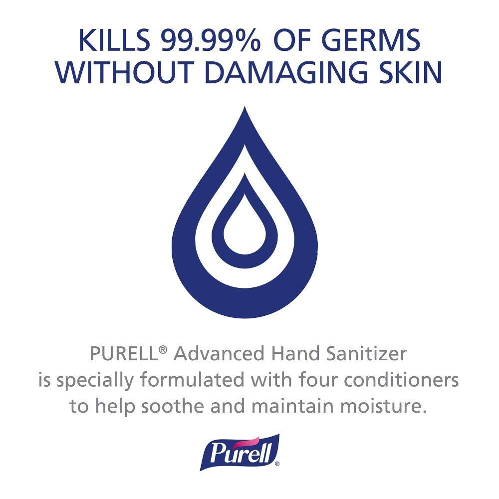 12.6 oz Hand Sanitizer Gel, Case of 12 P8532