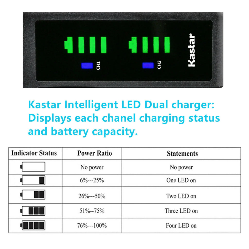 3-Pack Battery and USB Charger for Lumix Cameras A810