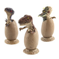 Egg Hatching Eggs Model Toy S8226