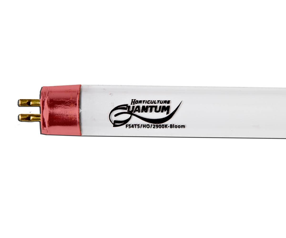 Case of 8 Red TUBE K5636