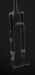29 Suspension Fork G887137